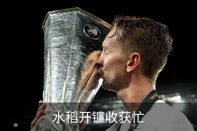 水稻开镰收获忙
